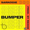 Bumper