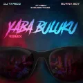Yaba Buluku (Remix) ft. Burna Boy, Preck & Nelson Tivane