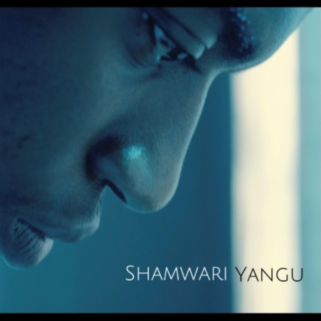Shamwari Yangu cover art