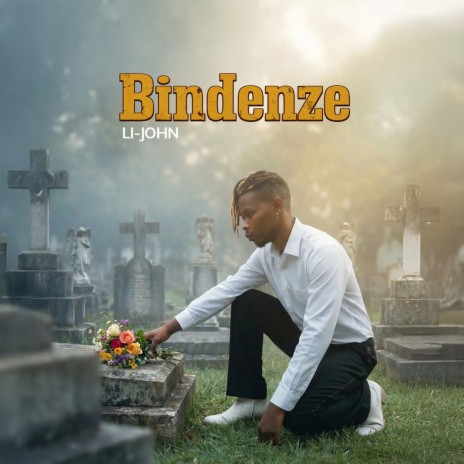 Bindenze cover art