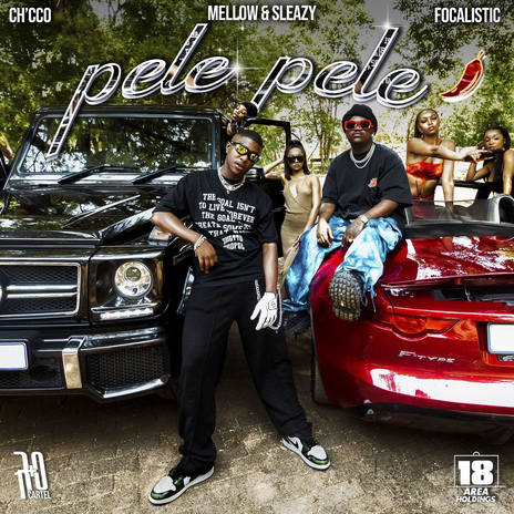 Pele Pele ft. Focalistic & Mellow & Sleazy cover art