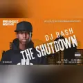 DJ BASH THE SHUTDOWN  : THE ULTIMATE MIX TO SHUTDOWN 2023 FOREVER