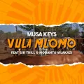 Vula Mlomo ft. Sir Trill & Nobantu Vilakazi