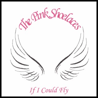 If I Could Fly