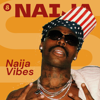 Naija Vibes