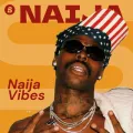 MMS ft. Wizkid