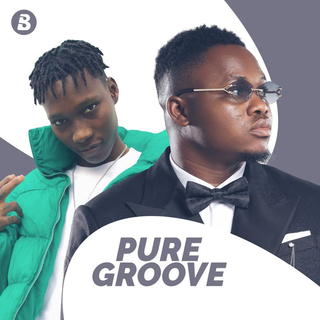 Pure Groove