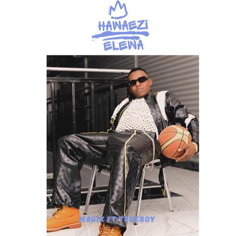 Hawaezi elewa cover art