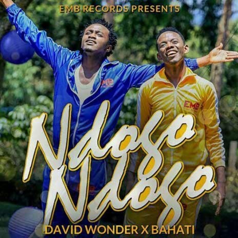 Ndogo Ndogo cover art