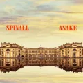 PALAZZO ft. Asake