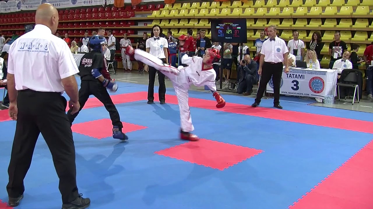 Mihail Georgiev v Gergely Wallandt WAKO European Championships 2017