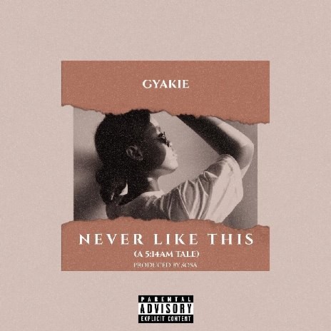 Never Like This cover art