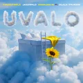 uValo ft. Thukuthela, Babalwa M & Dlala Thukzin