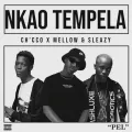Nkao Tempela ft. Mellow & Sleazy