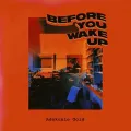 Before You Wake Up