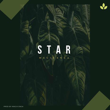 STAR cover art