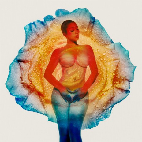 I Wish you Roses cover art