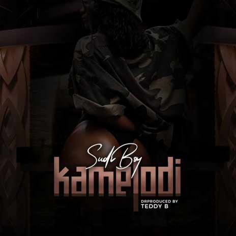 Kamelodi