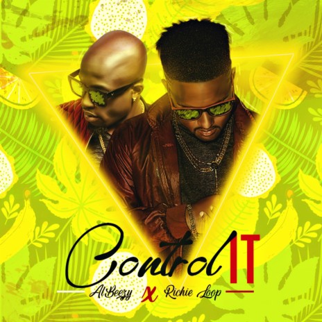 Control It ft. Richie Loop cover art