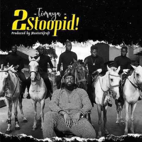2 Stoopid cover art