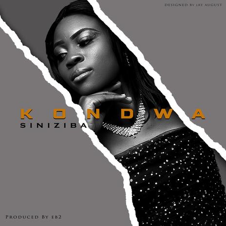 Siniziba cover art
