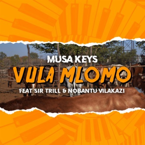 Vula Mlomo ft. Sir Trill & Nobantu Vilakazi cover art