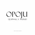 Opoju ft. Wizkid