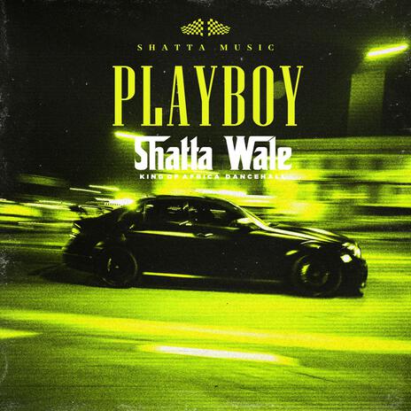 Playboy cover art