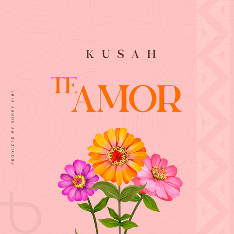 Te Amor cover art