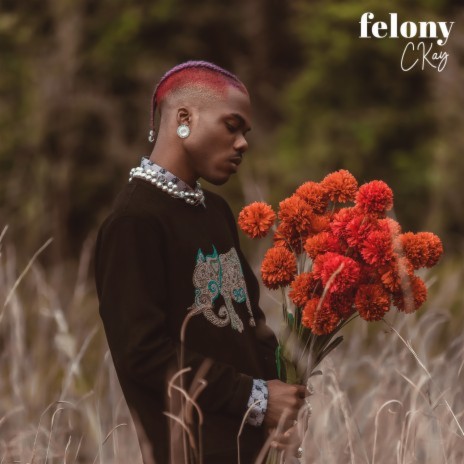 Felony cover art