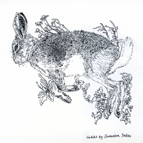 Habits cover art