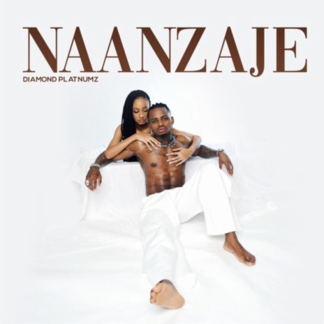 Naanzaje cover art