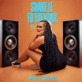 Shake It To The Max (FLY) ft. Silent Addy