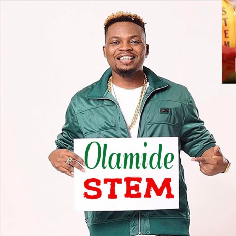 Stem cover art