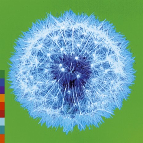 War and Crime cover art
