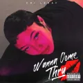Wanna Come Thru ft. Mike WiLL Made-It