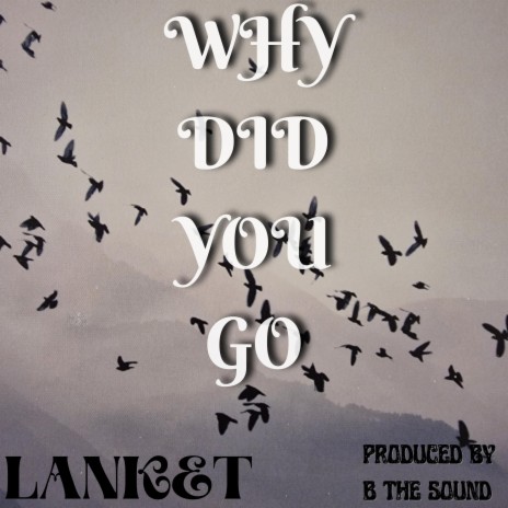 Why Did You Go cover art