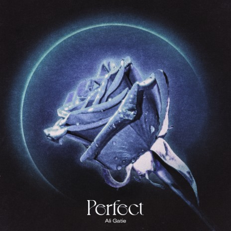 Perfect cover art