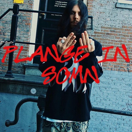 PLÂNGE ÎN SOMN cover art
