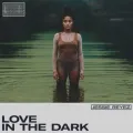 LOVE IN THE DARK