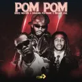 Pom Pom ft. Diamond Platnumz & Brown Joel