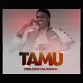 Tamu