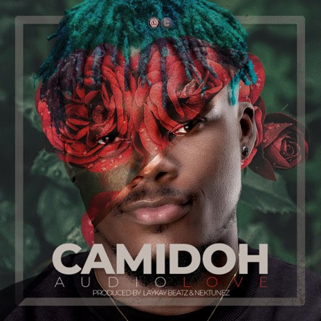 Audio Love cover art