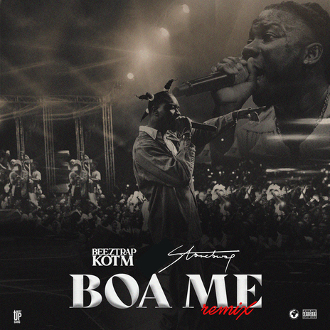BOA ME (Remix) [feat. Stonebwoy] cover art