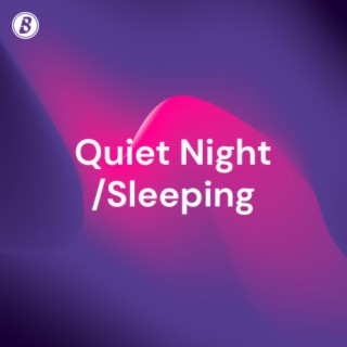 Quiet Nights