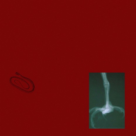 Canadian Tuxedo ft. Øbed cover art