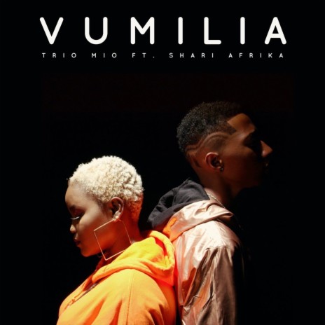 Vumilia ft. Shari Afrika cover art