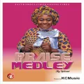 Praise Medley