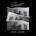 Secret ft. BemiSoul & The.wav