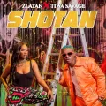 Shotan